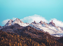 宁波男篮社媒分享祝福并配文：祝贺王凡懿升级奶爸